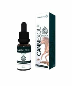 Cannexol Buddy 10% CBD Öl für Tiere